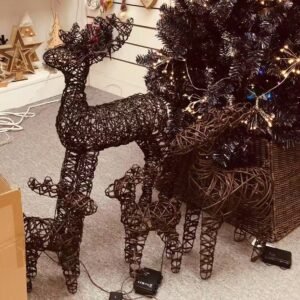 Deer