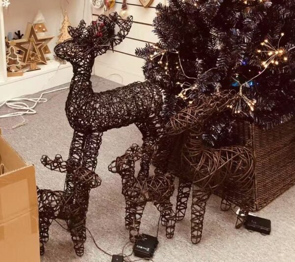 Deer